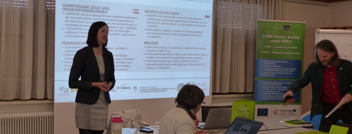 E-SME Workshop der Entwicklung esme--article-812-0.png